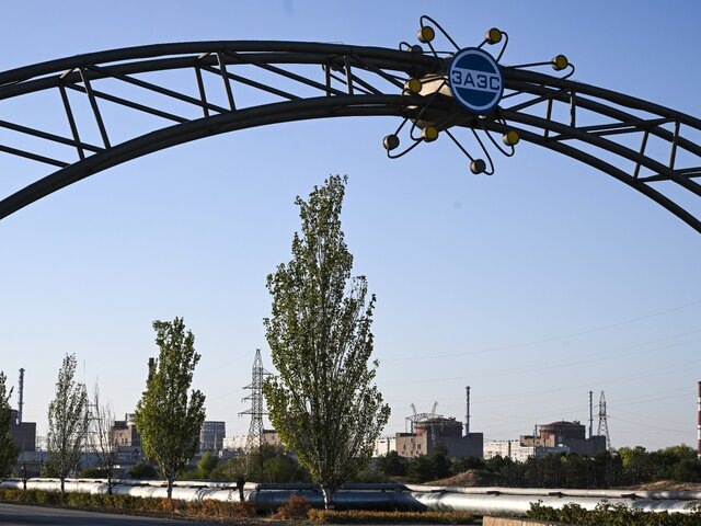    Фото: РИА Новости/Константин Михальчевский