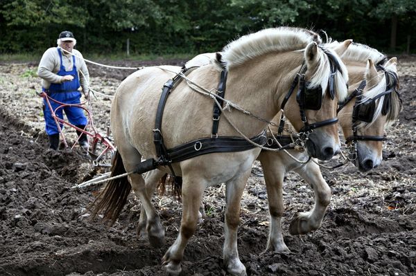 Вспашка не обязательно сделает землю рыхлой