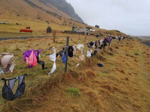 Весьма странные дела... Весьма странные дела...