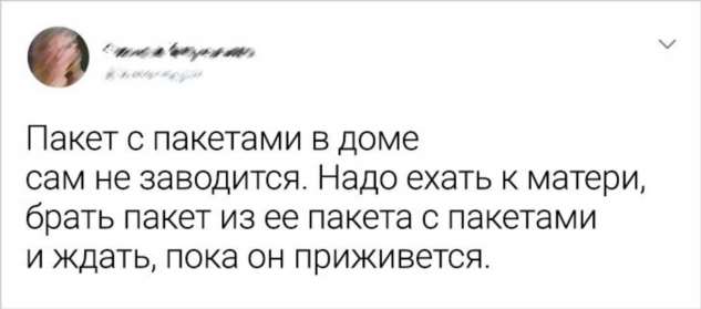 15+ человек поделились своими меткими наблюдениями о жизни, и их высказывания подхватил весь интернет