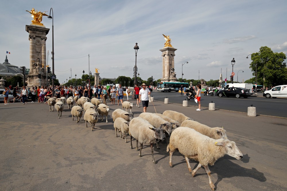 Лето, солнце, жара: красивый отпуск с ярким красками отдых,отпуск