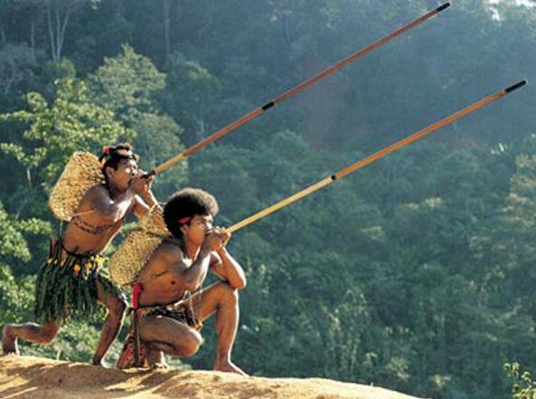 Это оружие знакомо каждому школьнику