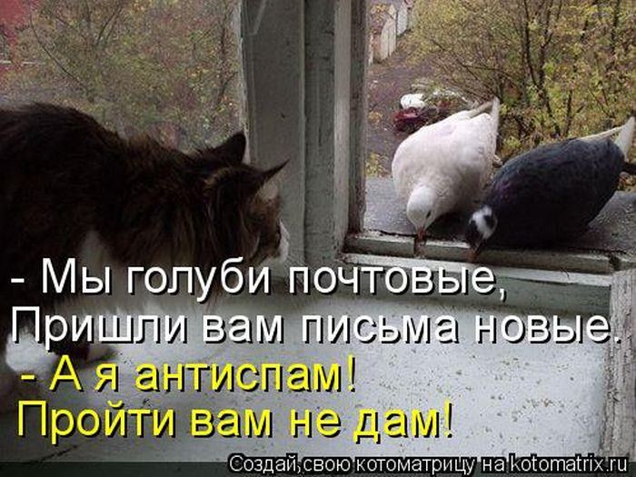 Мысли вслух :)