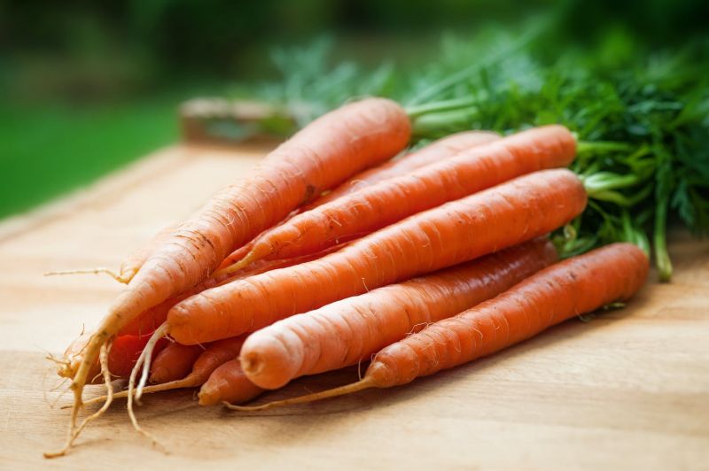 морковь.jpeg