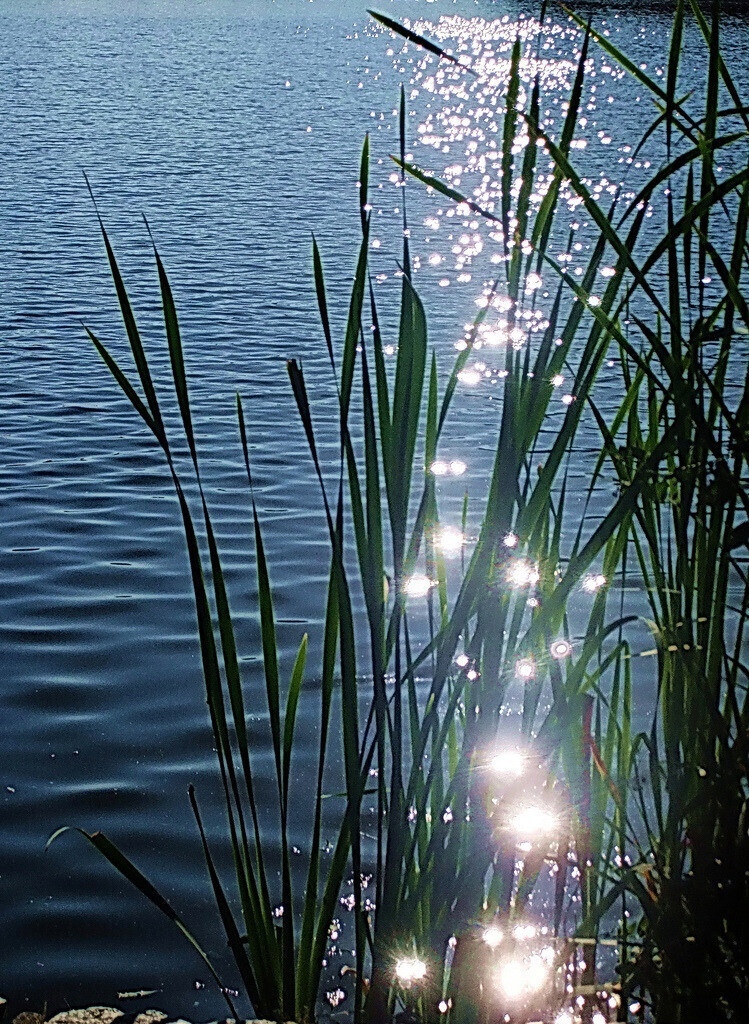 «Бриллиантовая рука»: нелепый слух про Никулина, мучения Миронова и находчивость Каневского «Бриллиантовая рука»: нелепый слух про Никулина, мучения Миронова и находчивость Каневского