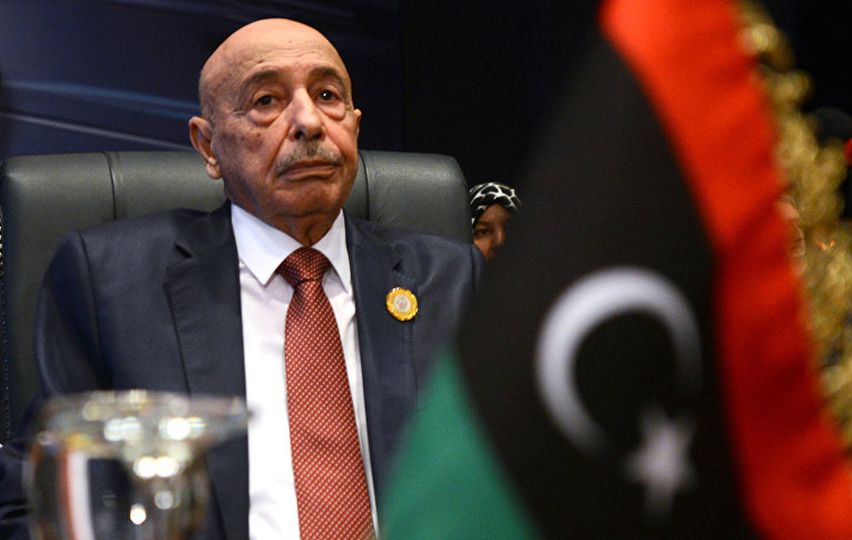 ООН должна помешать переброске иностранных наёмников и остановить поставку вооружения в Ливию — Салех