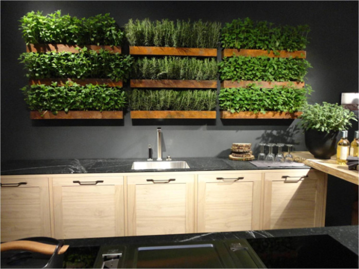 Свежую зелень и различные пряности можно выращивать в специальных деревянных ящиках прямо на стене в кухне.