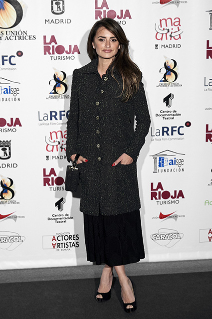 Пенелопа Крус на церемонии вручения кинопремии в Мадриде Звездный стиль