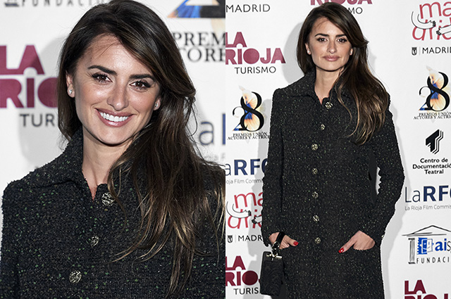 Пенелопа Крус на церемонии вручения кинопремии в Мадриде