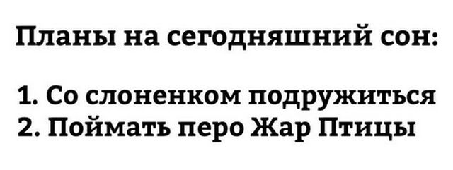 Веселые картинки и прикольные фото с надписями со смыслом (10 фото)