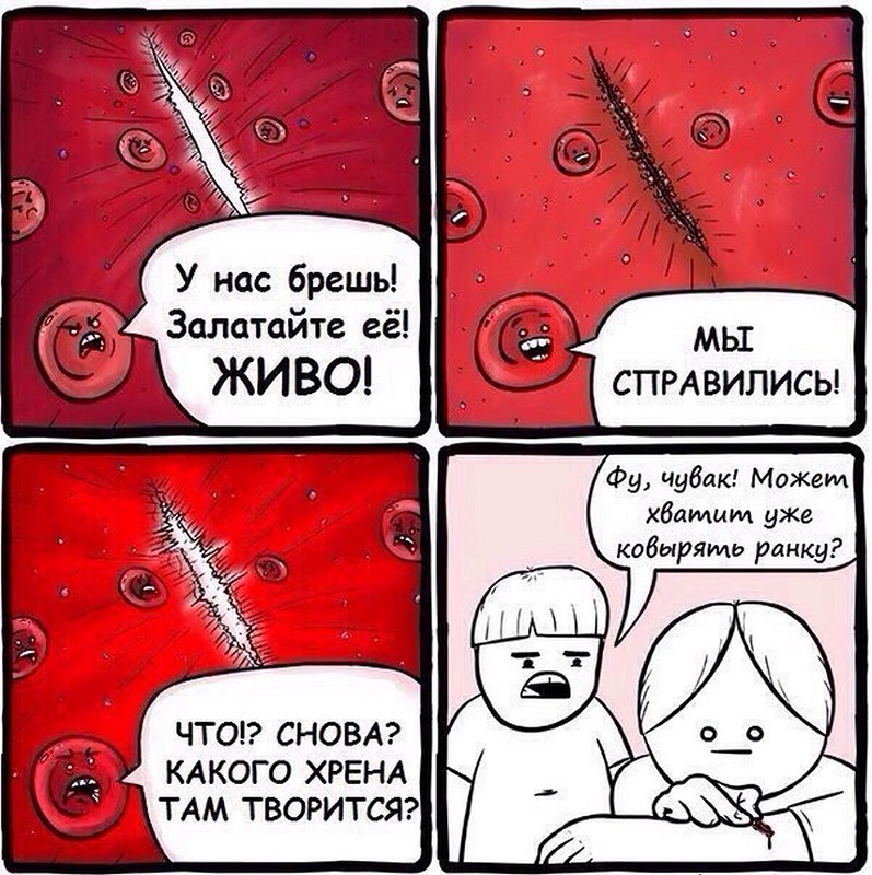 Биология смешные картинки