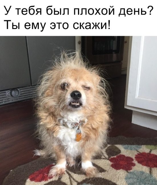 Подборка юмора в картинках и фотках