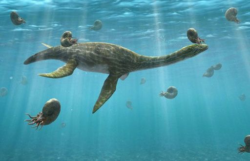 Охотники за ископаемыми в поисках Зверя Наутилус Помпилиус