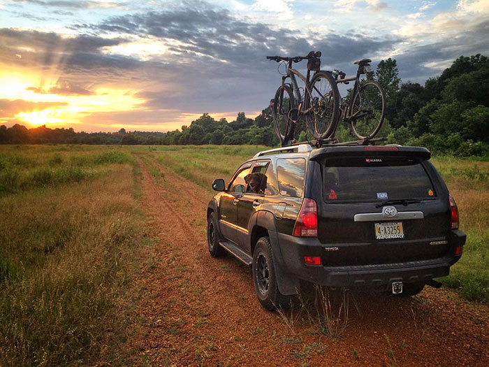 собака больна раком и последнее путешествие