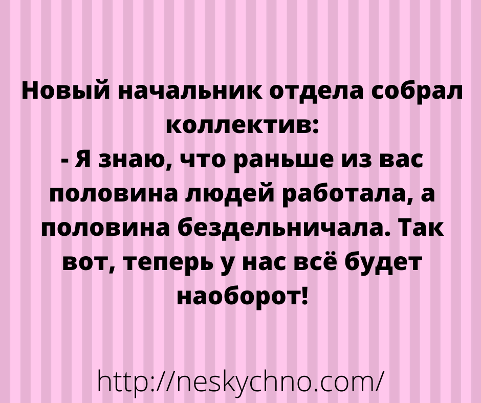 Шикарная подборка анекдотов для позитивного выходного настроения Шикарная подборка анекдотов для позитивного выходного настроения