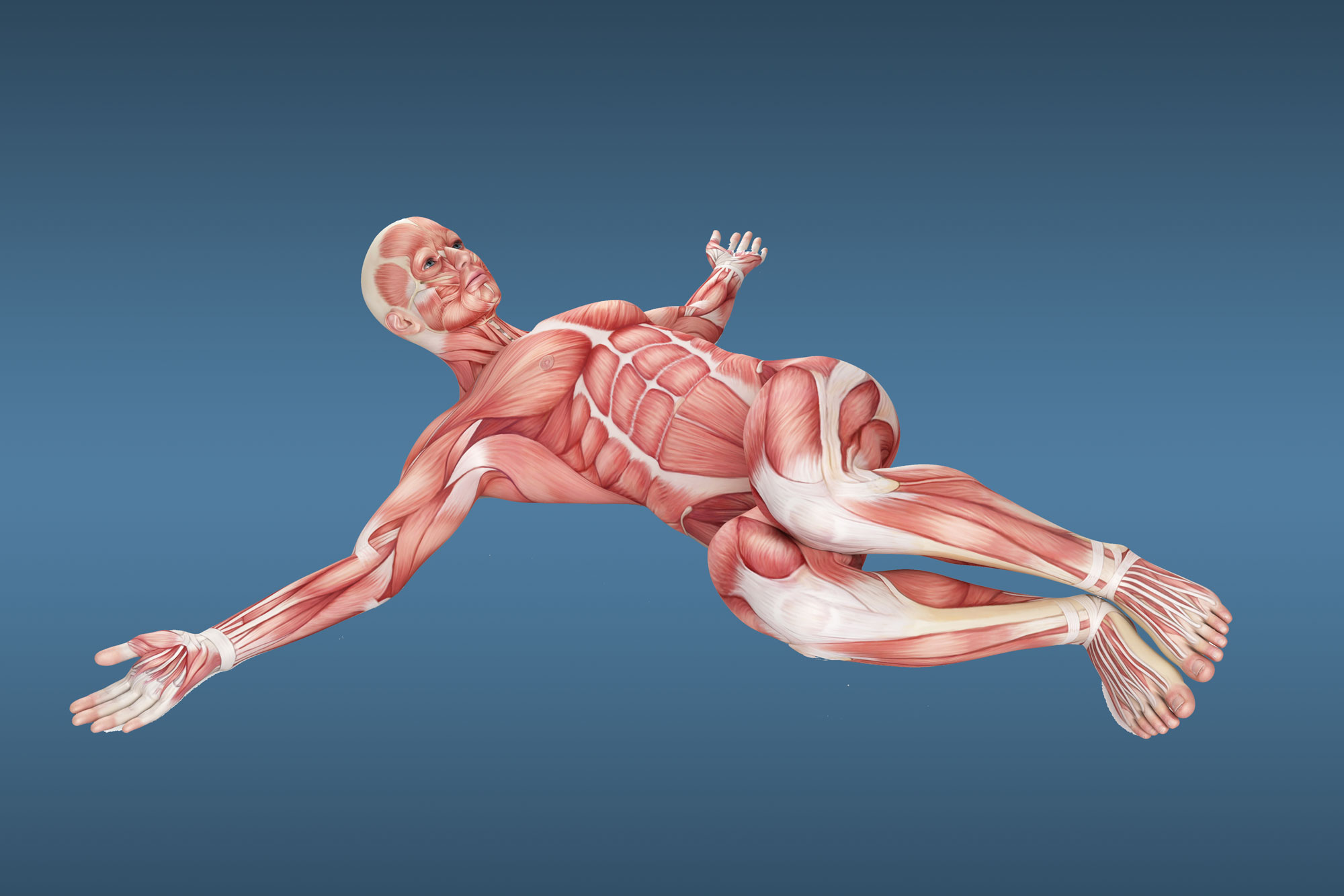 Нижний пресс — лучшие упражнения