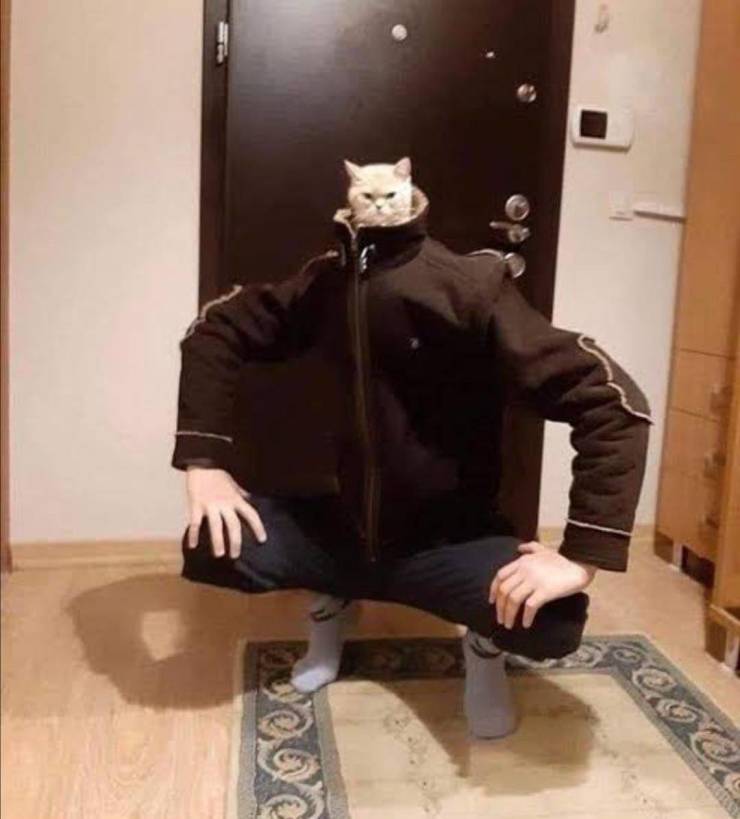 Подборка прикольных картинок  приколы,смешные картинки,юмор