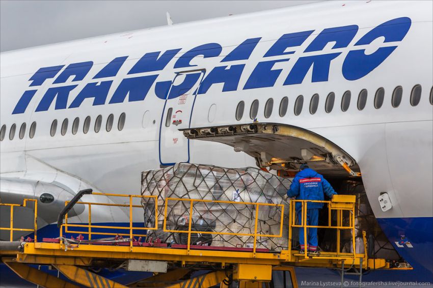 Обслуживание самолета на перроне Boeing 777, авиация, петропавловск-камчатский, елизово