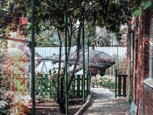 Фотоприколы и смешные картинки Фотоприколы и смешные картинки