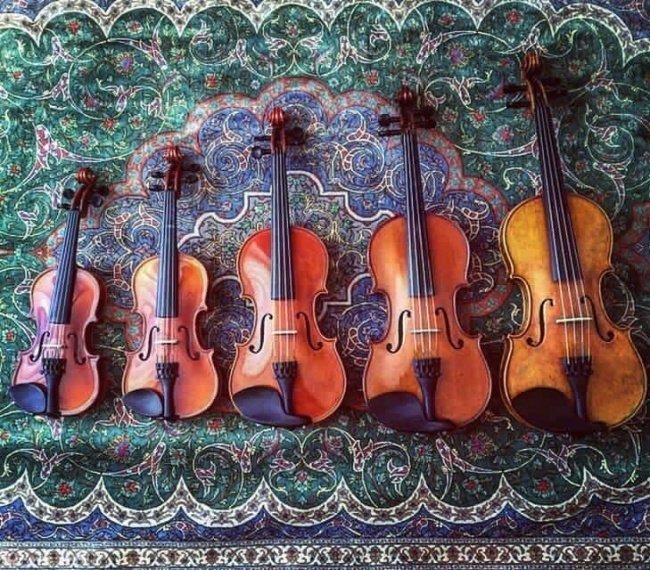 «Я учился играть на скрипке с 3 лет, и это все мои скрипки, которые я перерос» необычное, прикол, фото