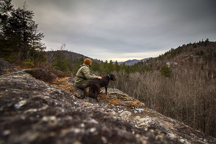 собака больна раком и последнее путешествие