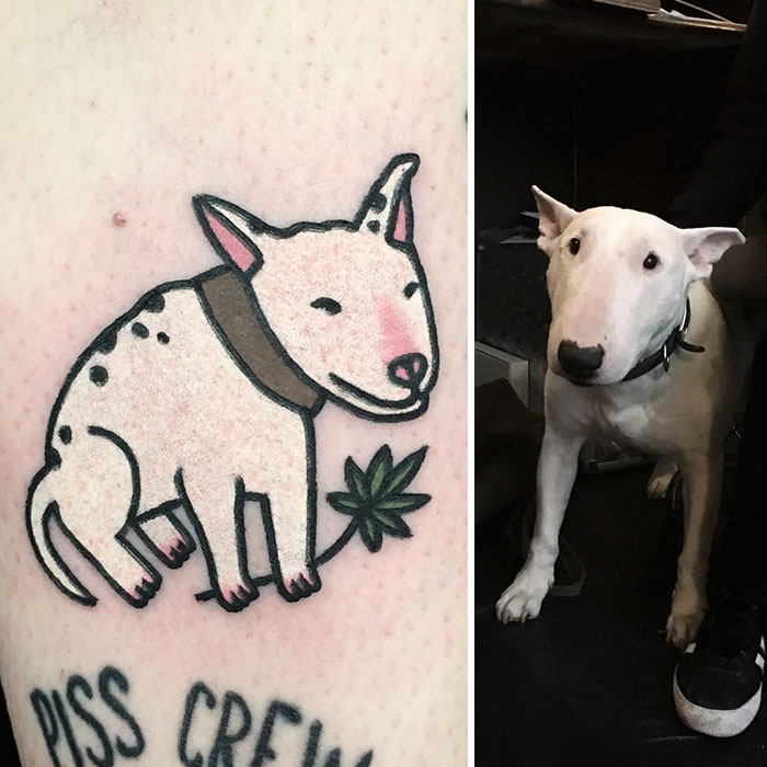 Pet Tattoo