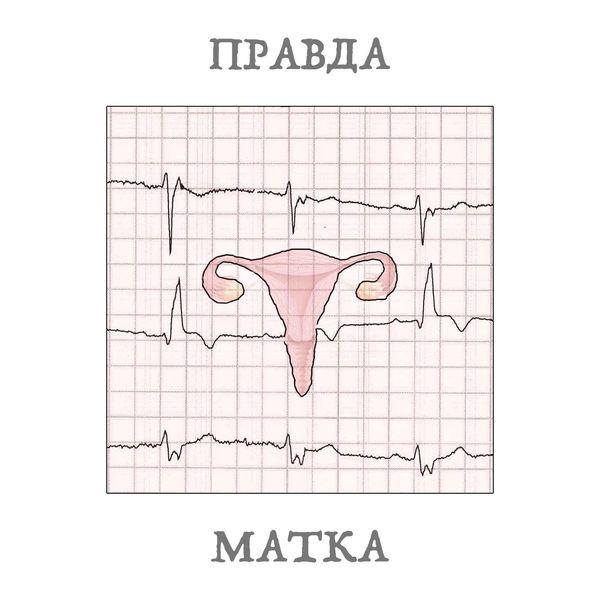 Подкасты про женское здоровье: 10 проектов, которые помогут разобраться в сложных темах можно, которые, подкаст, слушатьЧтобы, женщины, здоровье, проектеПодкаст, разобраться, женском, медицинской, понять, здоровья, вопросах, именно, вопросы, только, женщин, здоровье —, доверятьВ, врачам