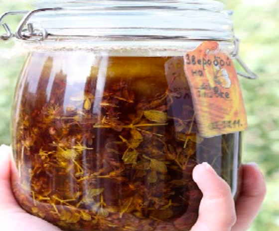 Бальзам для омоложения из меда, чеснока и лимона - целебные средства Тимуридов