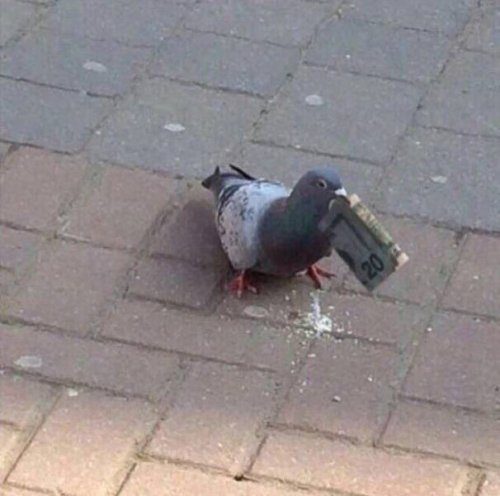 Весьма странные дела... Весьма странные дела...