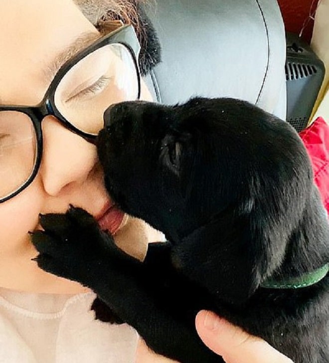 Щенок и женщина