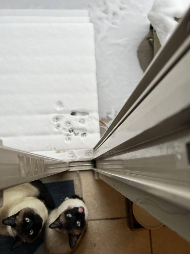 Новая подборка прикольных картинок Новая подборка прикольных картинок приколы,смешные картинки,юмор