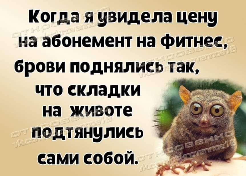 Свежий юмор для получения позитива и отличного настроения 