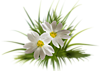 0_f7d8d_8ec77255_M.png