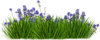 4302518.png