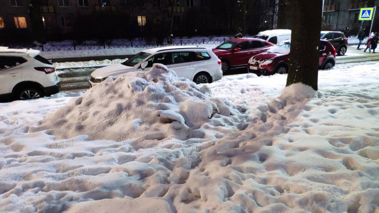 «Снег практически не убирают»: актриса Кадочникова дала оценку работе властей Петербурга Общество