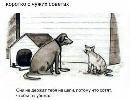 Фотоприколы и смешные картинки Фотоприколы и смешные картинки