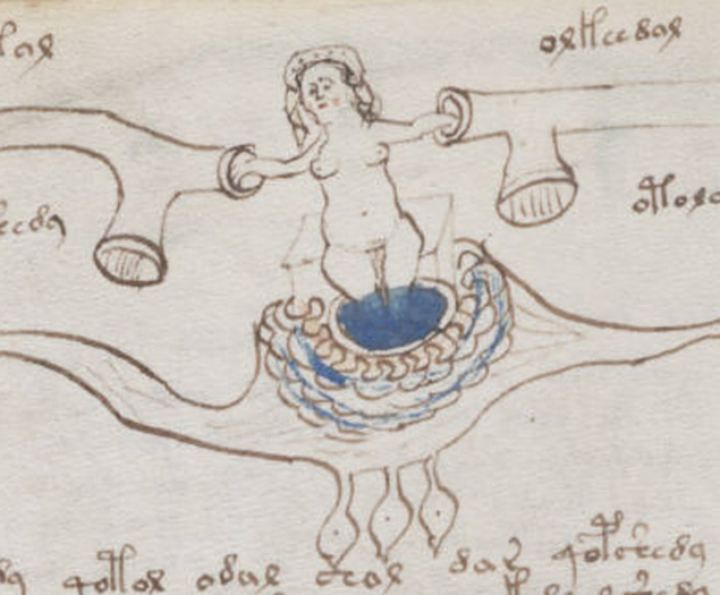 Descifrado el manuscrito voynich