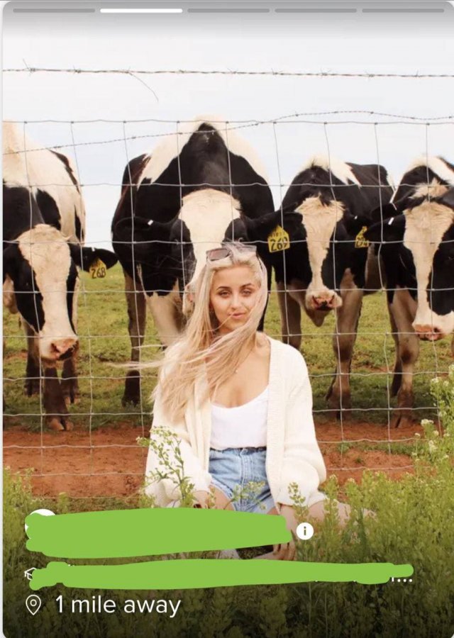 Анкеты забавных и странных людей из приложения для знакомства 