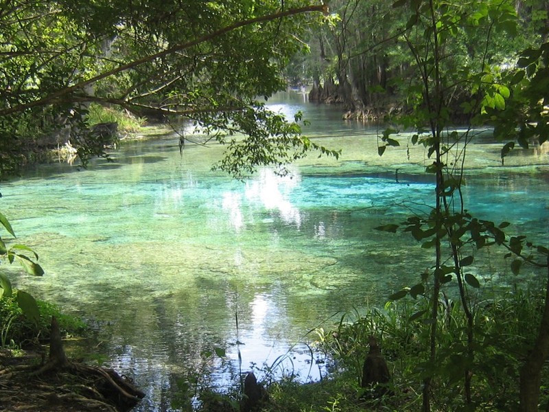 Самые красивые естественные водоёмы планеты водопад, водопада, Falls, можно, Havasu, составляет, Cenote, Каньон, бассейнов, кальция, бассейн, расположен, Куанг, только, водопадов, несколько, имеет, которые, популярностью, местных