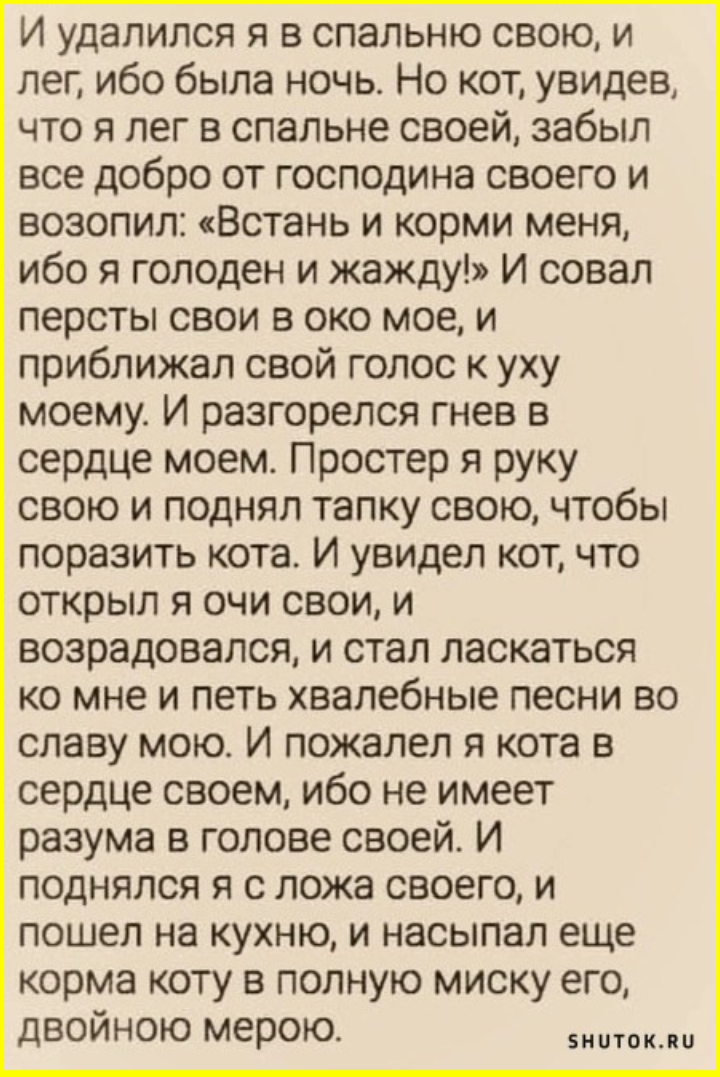 В борьбе с животом живот всегда оказывался на полшага впереди 