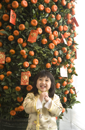 Елки, палки, мандарины: как украшают новогодние деревья в разных странах мира декор,домашний досуг