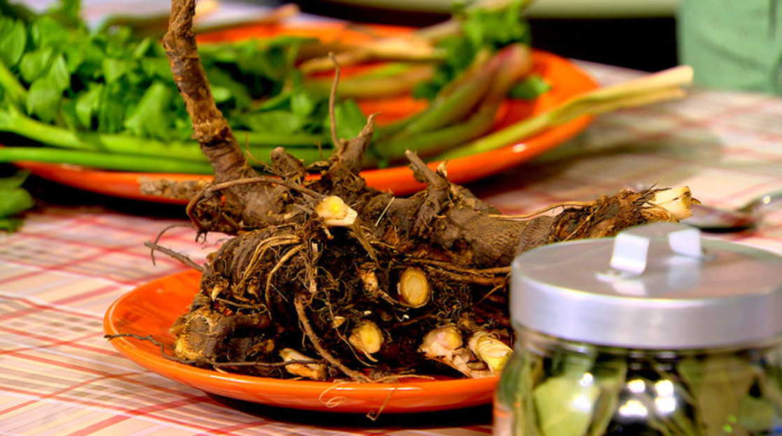 Простой настойкой избавилась от сильных болей в сердце