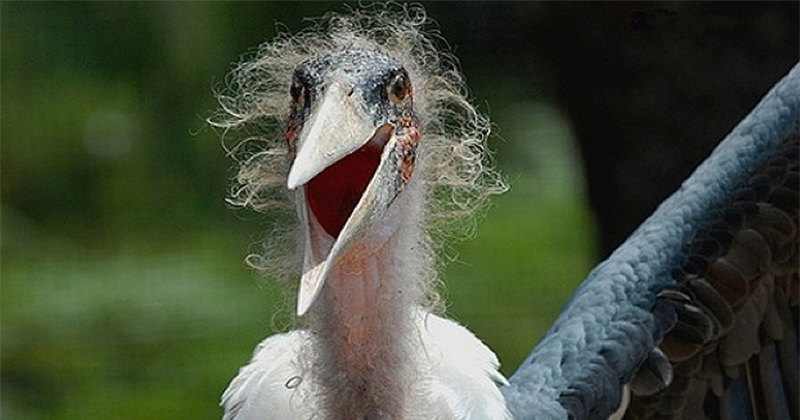 Шутки советских прапорщиков. Это был СССР — мы развлекались как могли