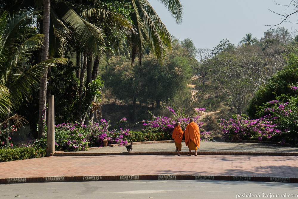 монахи в Лаосе