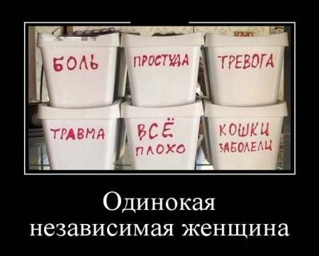 Демотиваторы (15 фото)