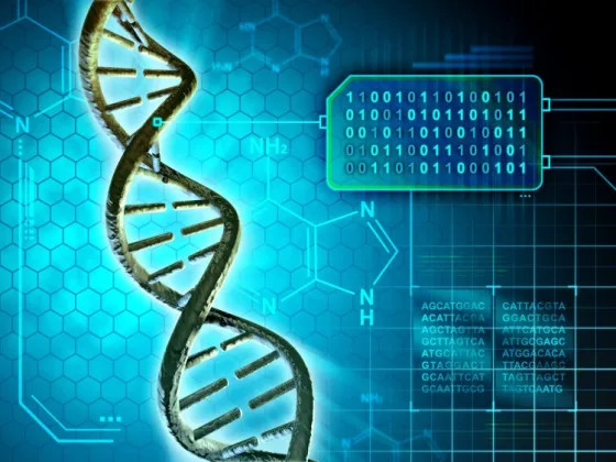 Биологи раскрыли детали структуры и динамики нуклеосом на синтетической ДНК
