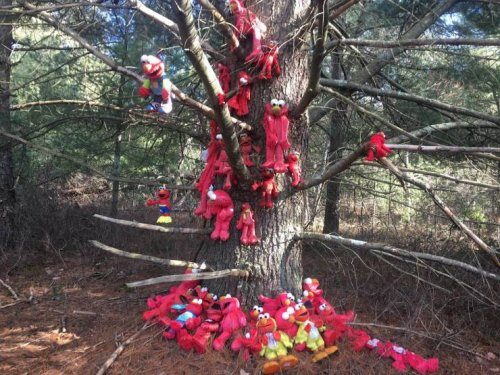 Весьма странные дела... Весьма странные дела...