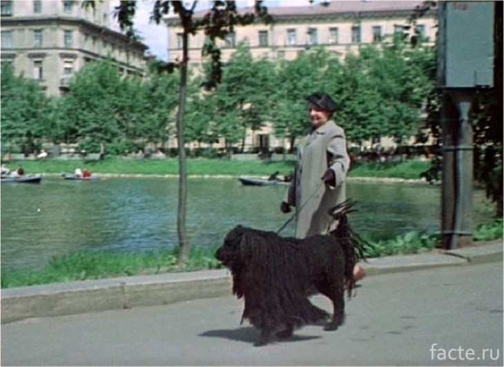 Советские люди на фотографиях 50-х годов НОСТАЛЬГИЯ,СОВЕТСКИЙ ПЕРИОД,СОВЕТСКИЙ СОЮЗ,СОЦИАЛИЗМ,СССР,ХРУЩЕВ