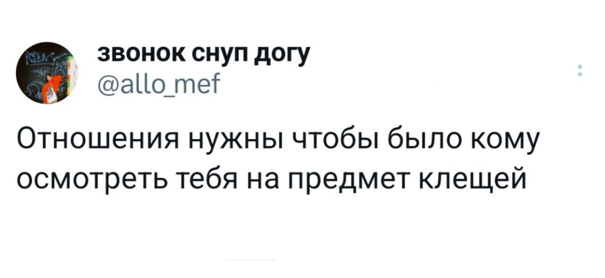 Интернет мемы в пятницу и косточка малины 