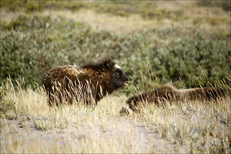 На краю света на яхте путешествия